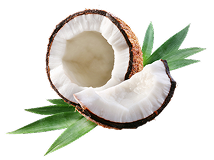 coconut